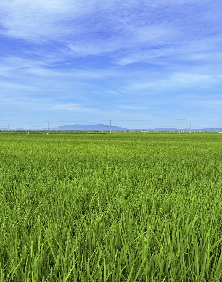 弥彦と角田モバイル