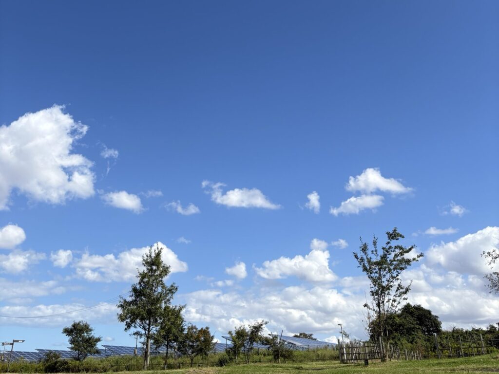 秋の空
